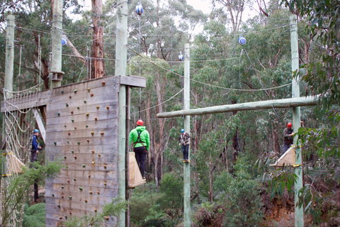 Kinglake Forest Adventures - Tourism Caloundra 1