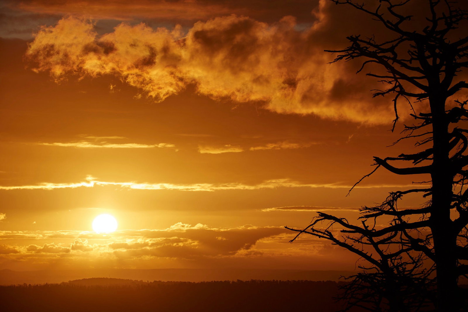 Kinglake Central VIC Tourism Caloundra