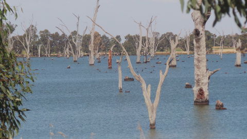 Lake Mulwala - Tourism Caloundra 2