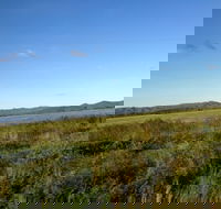 Lakeland - Tourism Caloundra