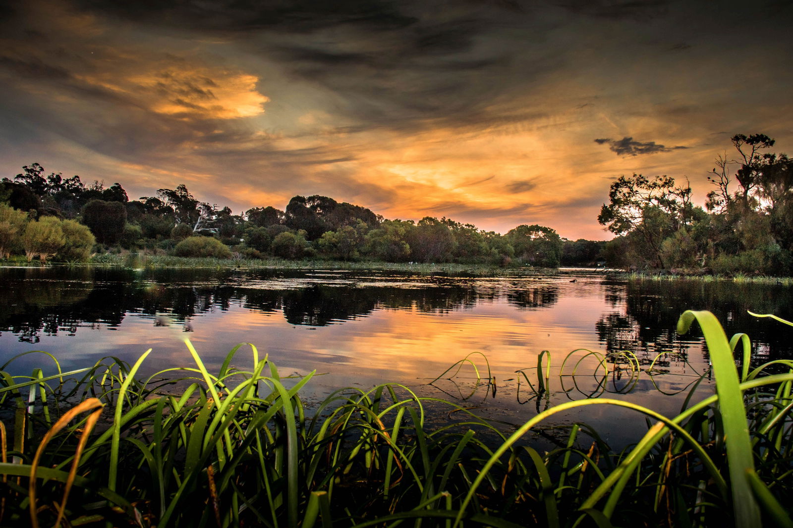  Tourism Caloundra