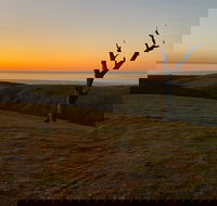 Lessismore Farm Afternoon Farmer - Tourism Caloundra