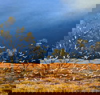Lyn Barnes Gallery - Tourism Caloundra