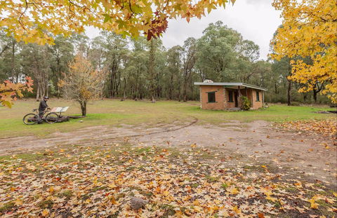 Major Clews Hut Walking Track - Tourism Caloundra 0