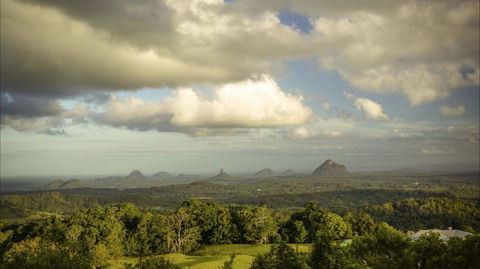 Mary Cairncross Scenic Reserve Rainforest Walk - Tourism Caloundra 0