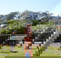 Maryboroughs Bollards - Tourism Caloundra