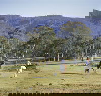 Megalong Valley - Tourism Caloundra