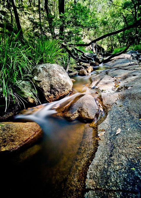 Mothar Mountain Rockpools - Tourism Caloundra 1