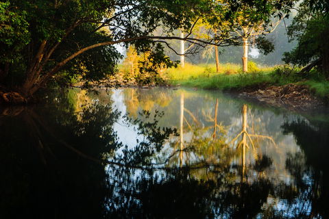 Mothar Mountain Rockpools - Tourism Caloundra 2