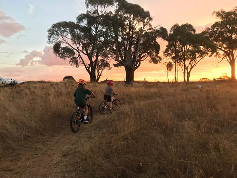 Mountain Bike Trails Tumbarumba - Tourism Caloundra 2