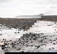 Mushroom Reef Beach - Tourism Caloundra