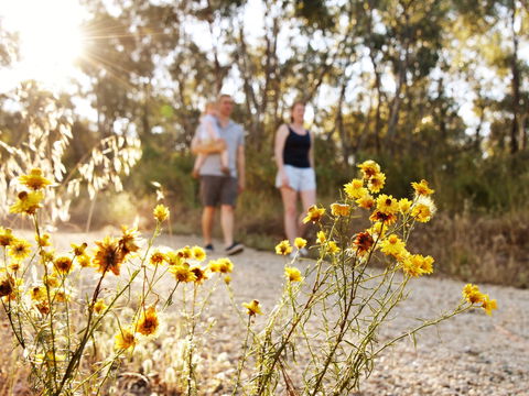Nail Can Hill - Tourism Caloundra 0
