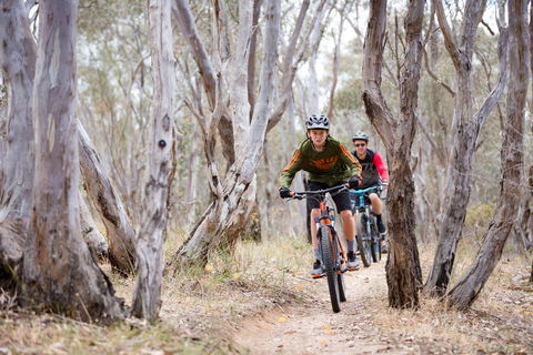 Nail Can Hill - Tourism Caloundra 1