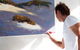 Neale Joseph Fine Art Gallery - thumb 0