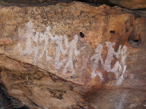 Ngamadjidj Shelter - Wartook Valley - Tourism Caloundra 0