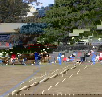 Nowra Croquet Club - Tourism Caloundra