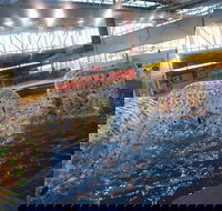 Oasis Regional Aquatic Centre - Tourism Caloundra