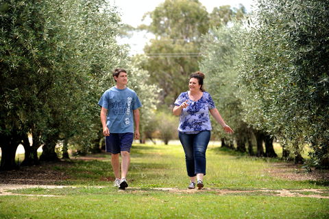 Olives Of Beaulieu - Tourism Caloundra 0