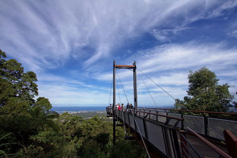 Orara East State Forest - Tourism Caloundra 0