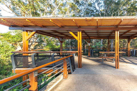 Orara East State Forest - Tourism Caloundra 1