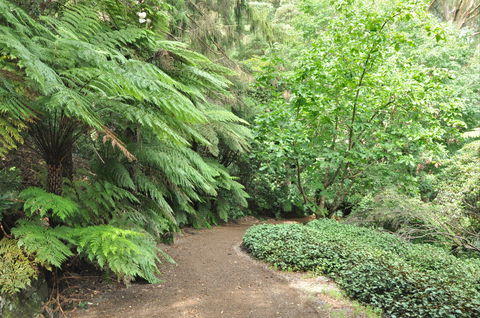 Pirianda Gardens - Tourism Caloundra 0