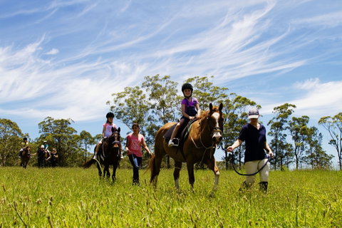 Port Macquarie Horse Riding Centre - Tourism Caloundra 0