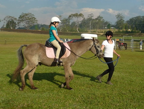 Port Macquarie Horse Riding Centre - Tourism Caloundra 1