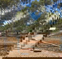 Powell Gardens - Tourism Caloundra