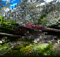 Puffing Billy Railway - Tourism Caloundra