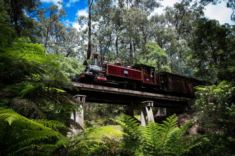 Puffing Billy Railway - Tourism Caloundra 0