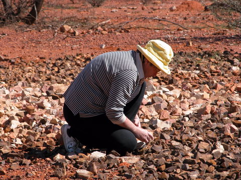 Quilpie Opal Fossicking - Tourism Caloundra 1