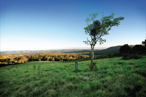 Ravensbourne National Park - Tourism Caloundra 0