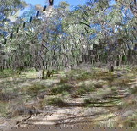Reef Hills State Park - Tourism Caloundra