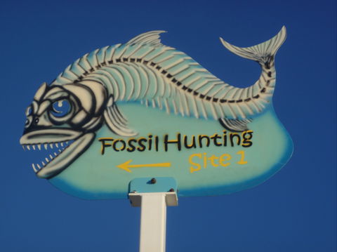 Richmond Fossil Hunting Sites - Tourism Caloundra 1