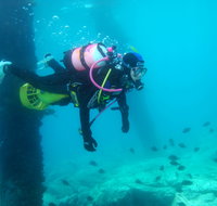 Shellharbour Scuba  and Photography Centre - Tourism Caloundra