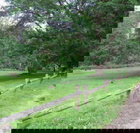 St Albans Reserve - Tourism Caloundra