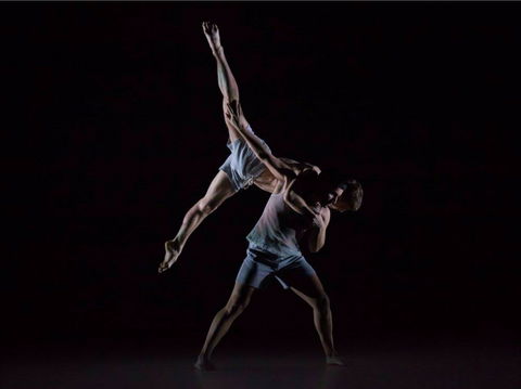 Sydney Dance Company - Tourism Caloundra 0