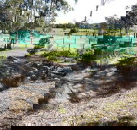 Tactical Paintball Games - Tourism Caloundra