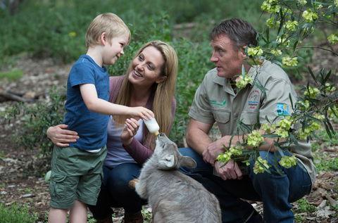 Tamworth Marsupial Park And Adventure Playground - Tourism Caloundra 0