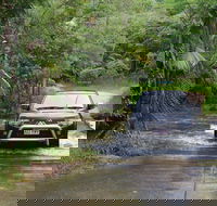 The Pioneer Valley and Eungella National Park - Tourism Caloundra