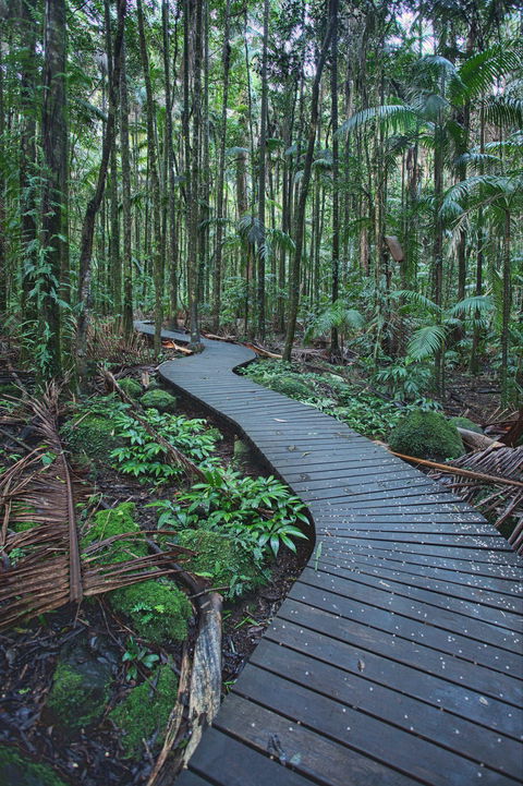 The Channon, Protesters Falls, Nimbin And Mount Nardi - Tourism Caloundra 0