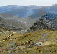 Thredbo Mountain Biking - Tourism Caloundra