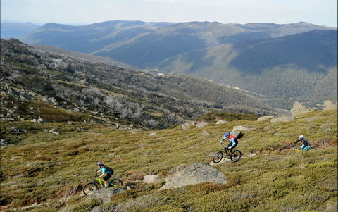 Thredbo Mountain Biking - Tourism Caloundra 0