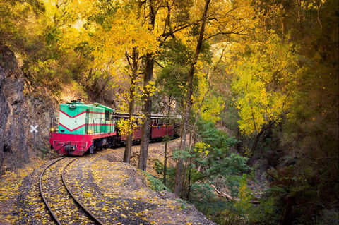 Walhalla Goldfields Railway - Tourism Caloundra 2
