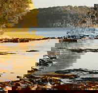 Wangi Wangi - Tourism Caloundra