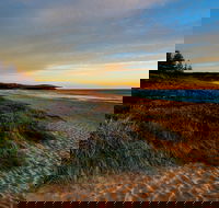 Werri Beach and Point - Tourism Caloundra