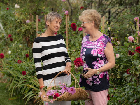 White Cottage - Tourism Caloundra 0