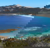 Whitemark - Tourism Caloundra