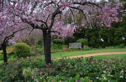 Wildwood Garden - Tourism Caloundra 2