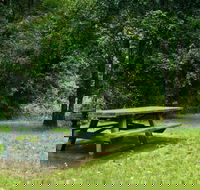 Williams River picnic area - Tourism Caloundra